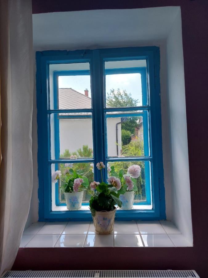 Villa Modre Okno Kozojedy Exterior foto
